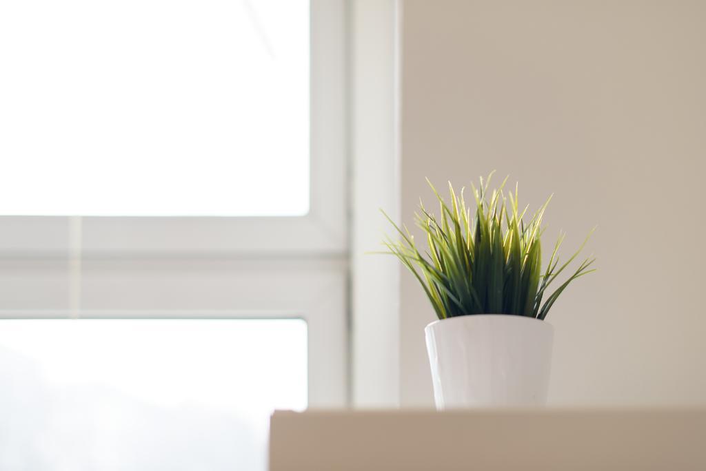 Vienna City Apartment Dampfgasse エクステリア 写真